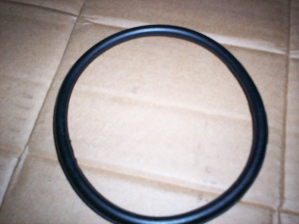 Photo of the Esprit se fuel pump O ring lotus spare part